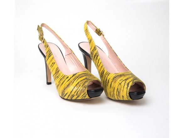 Zebra in yellow and black